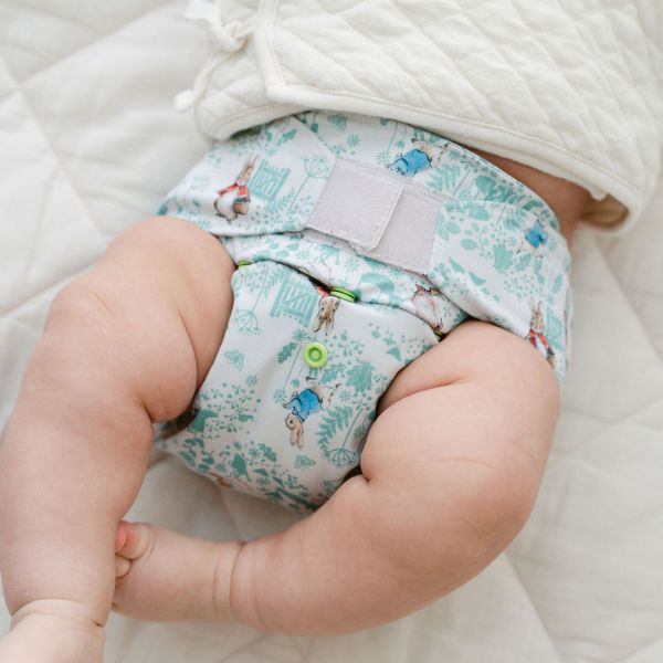The Baby Show Offer - All in Kit