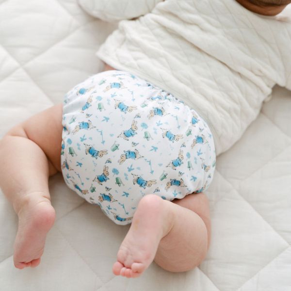The Baby Show Offer - All in Kit